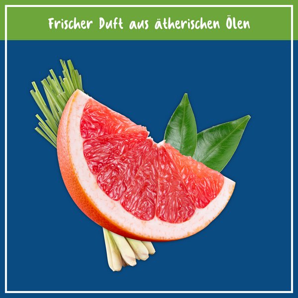 NCP Wischroboter Konzentrat