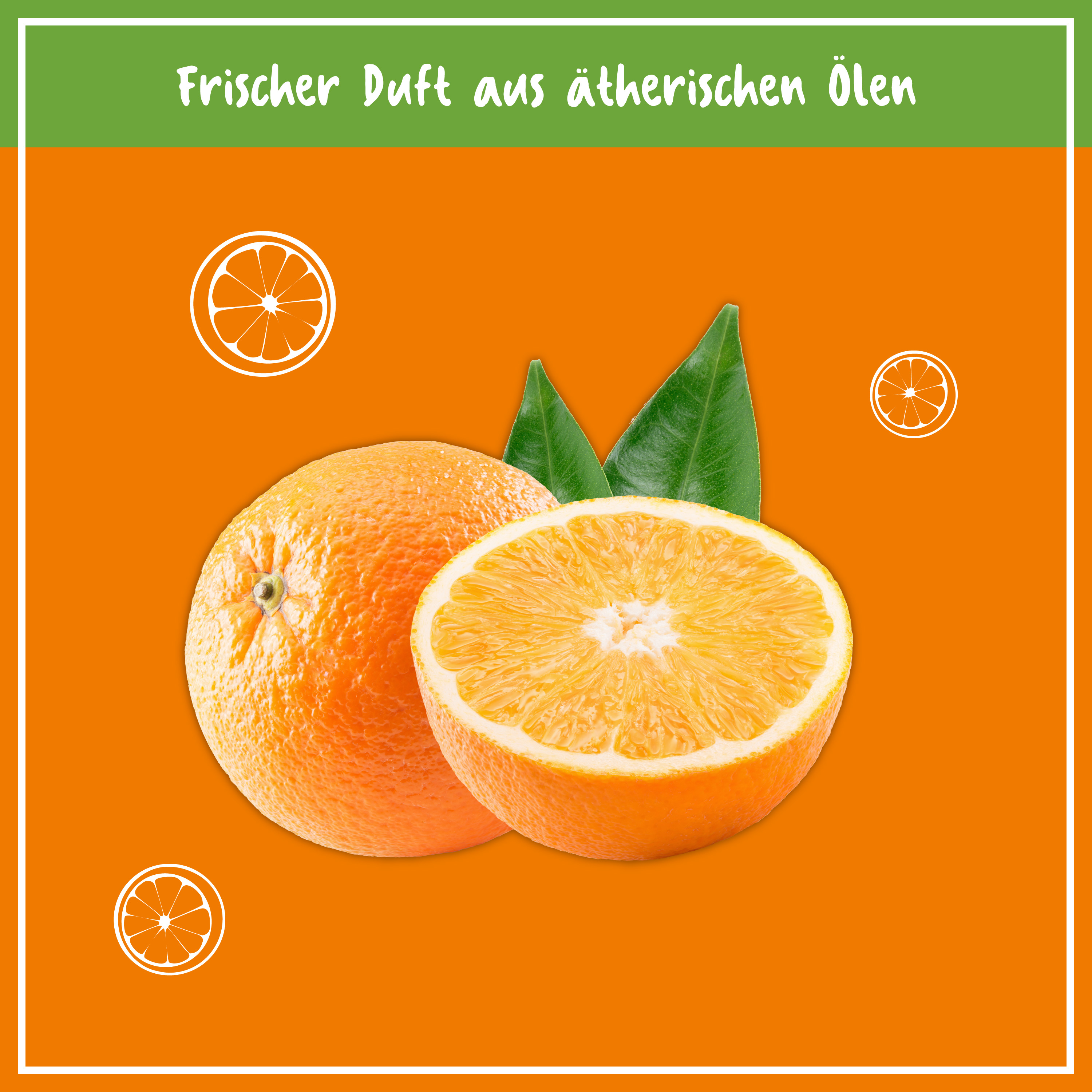 NCP Küchen Reiniger