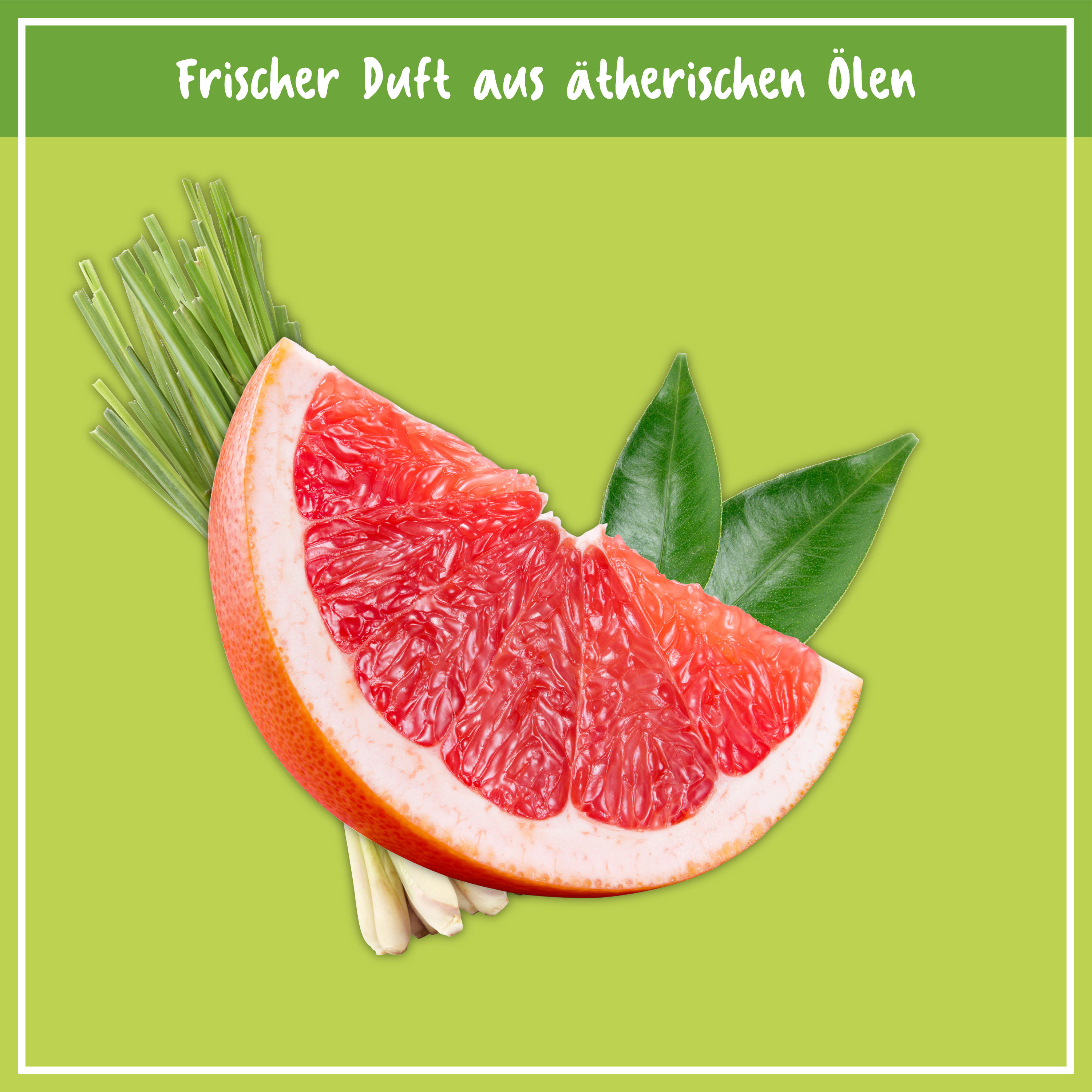 NCP Parkett & Holzdielen Pflege