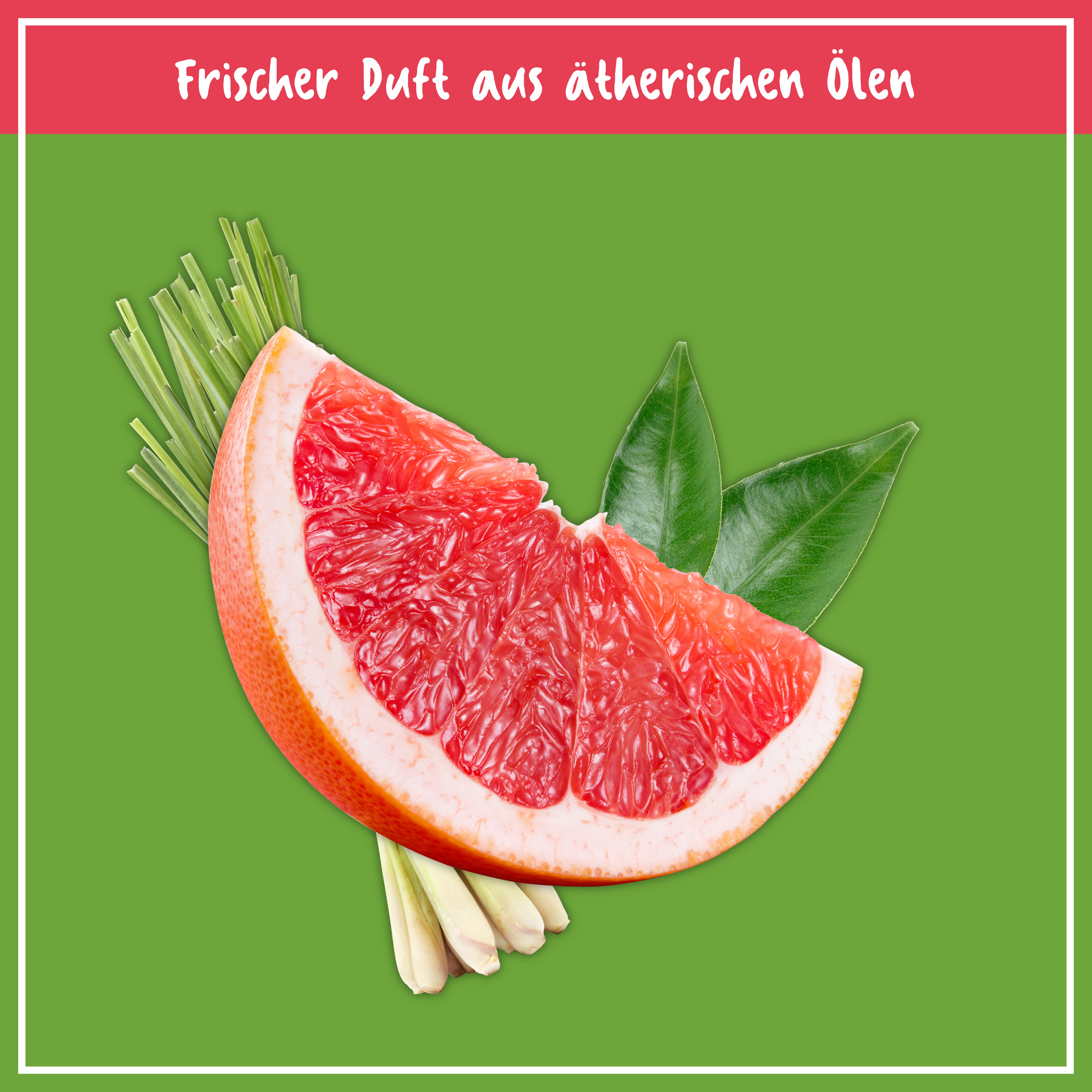NCP Boden Reiniger