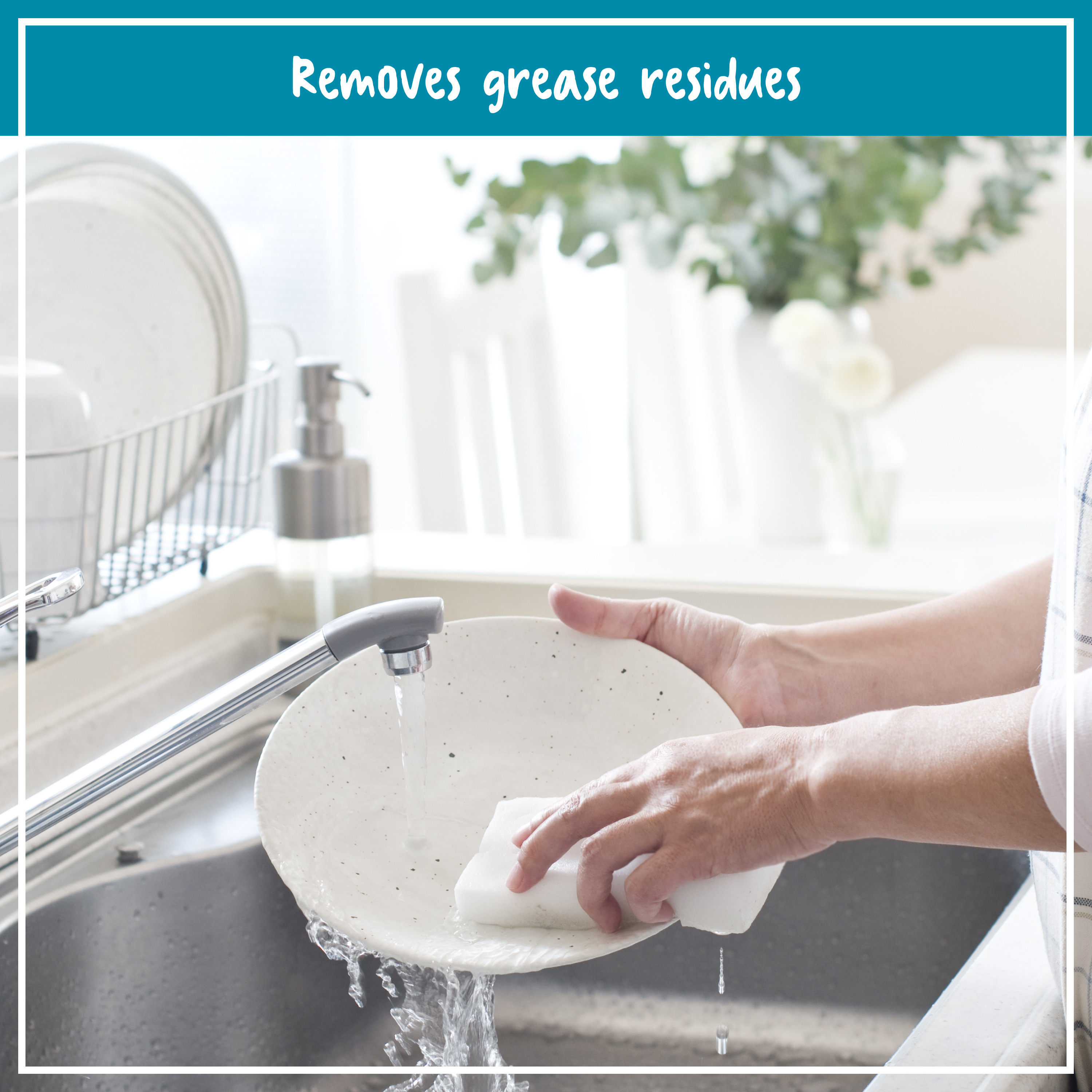 NCP Dishwashing Liquid