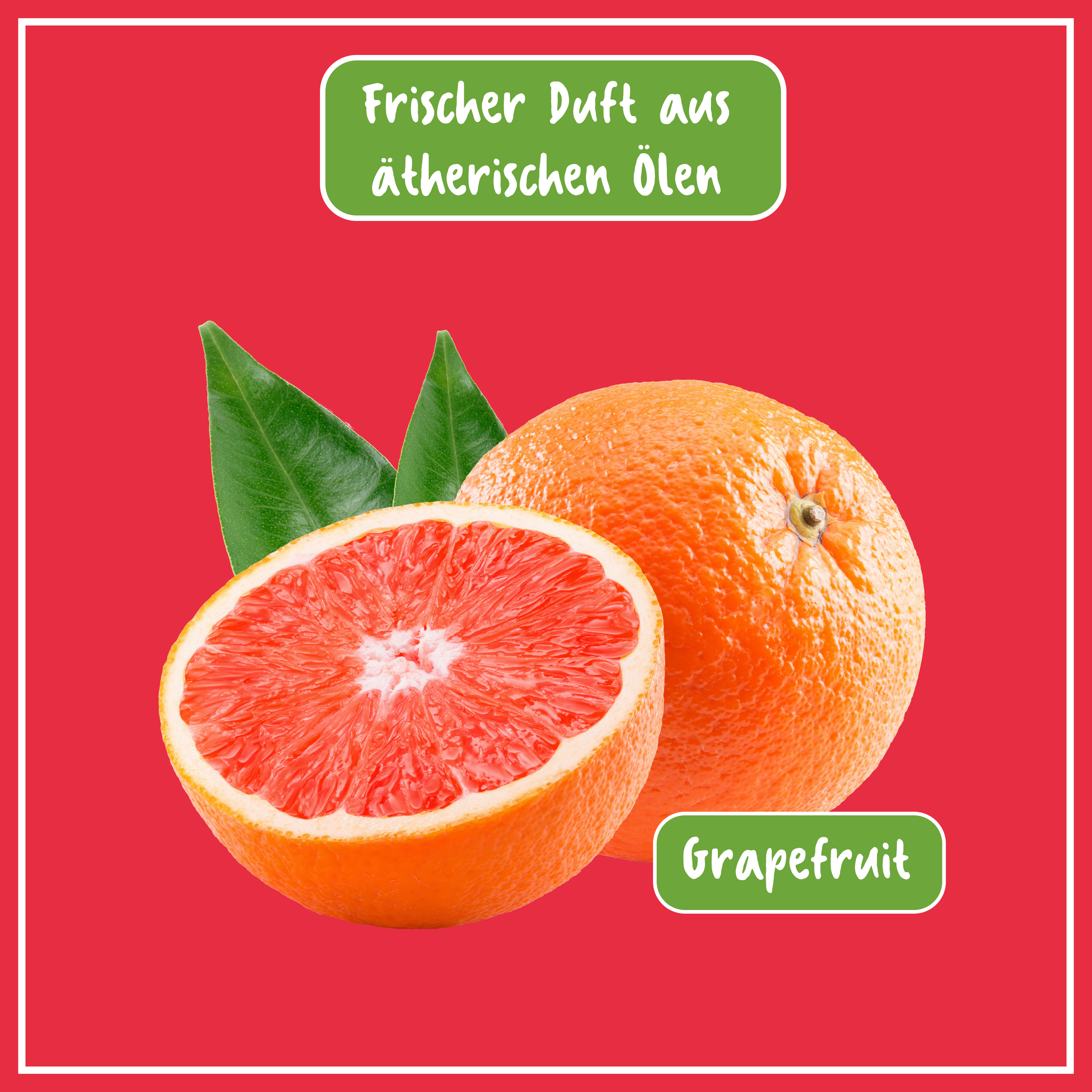 NCP Allzweck Reiniger