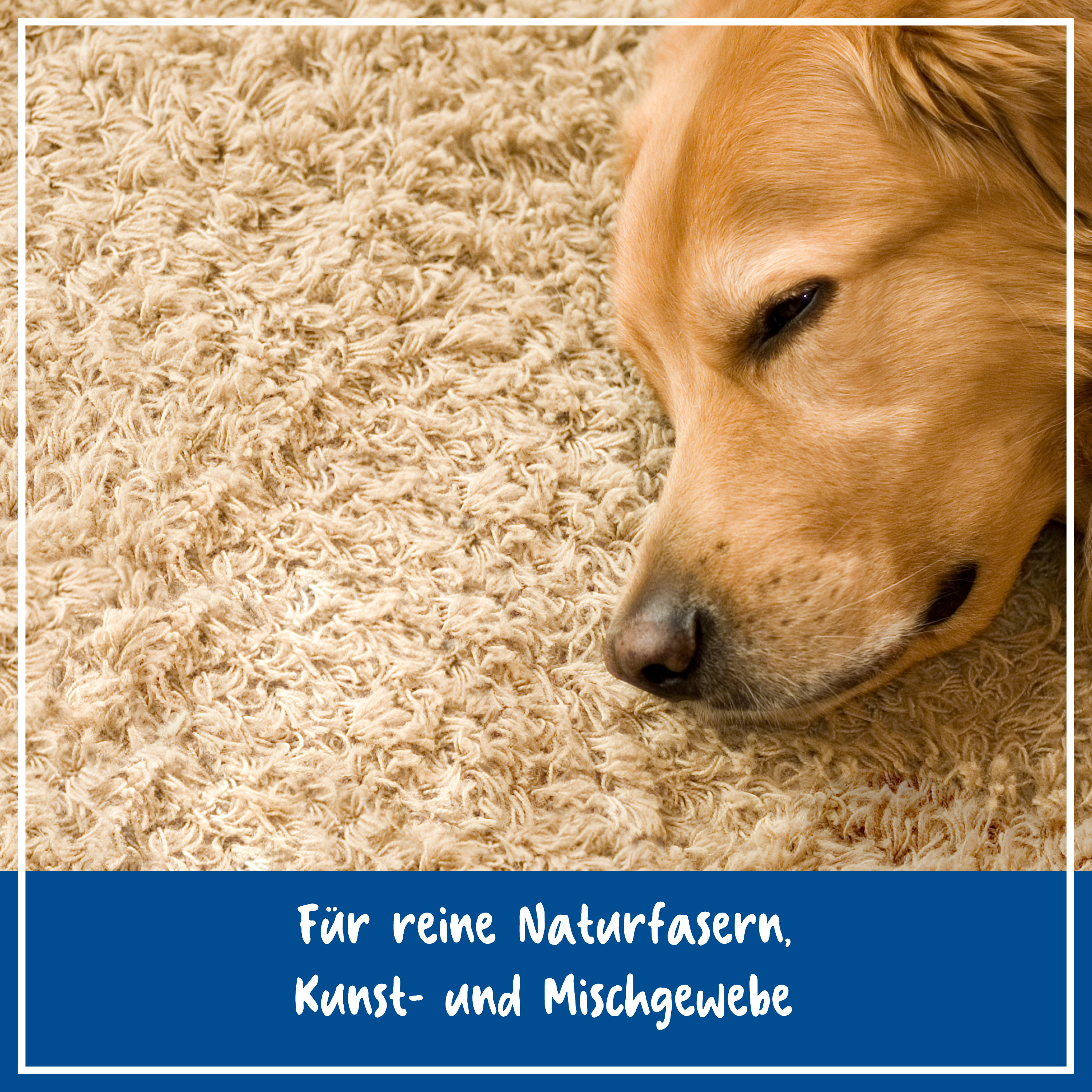 Upholstery & Carpet Cleaner