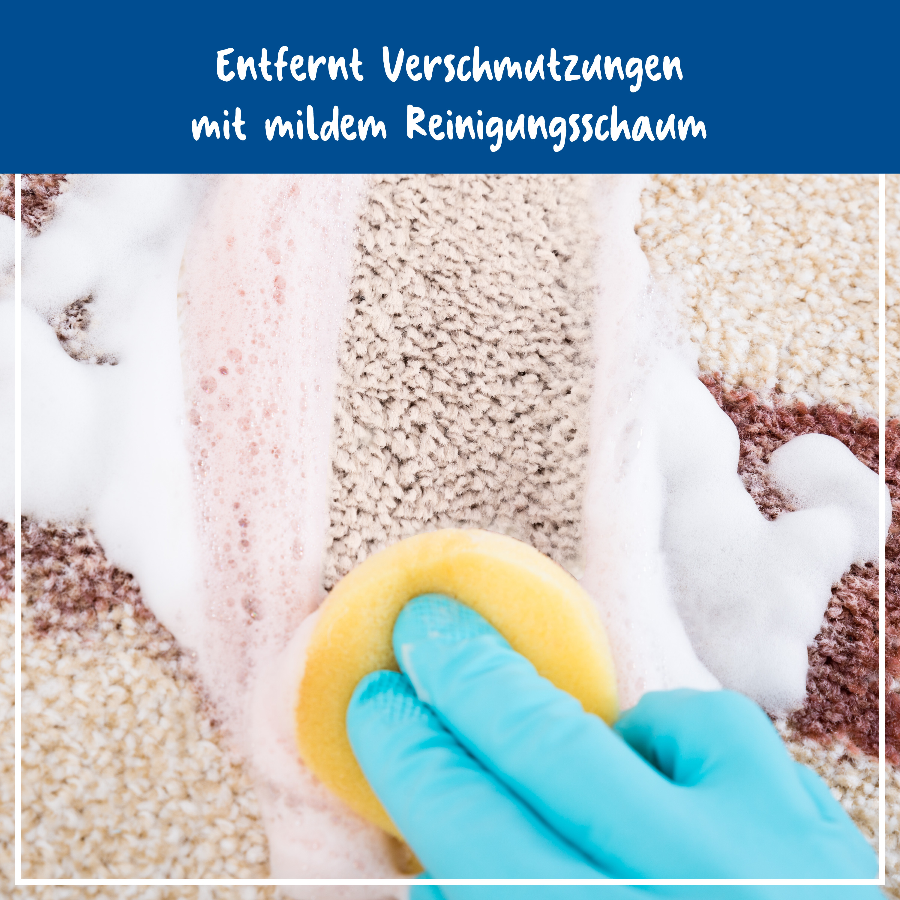 Upholstery & Carpet Cleaner