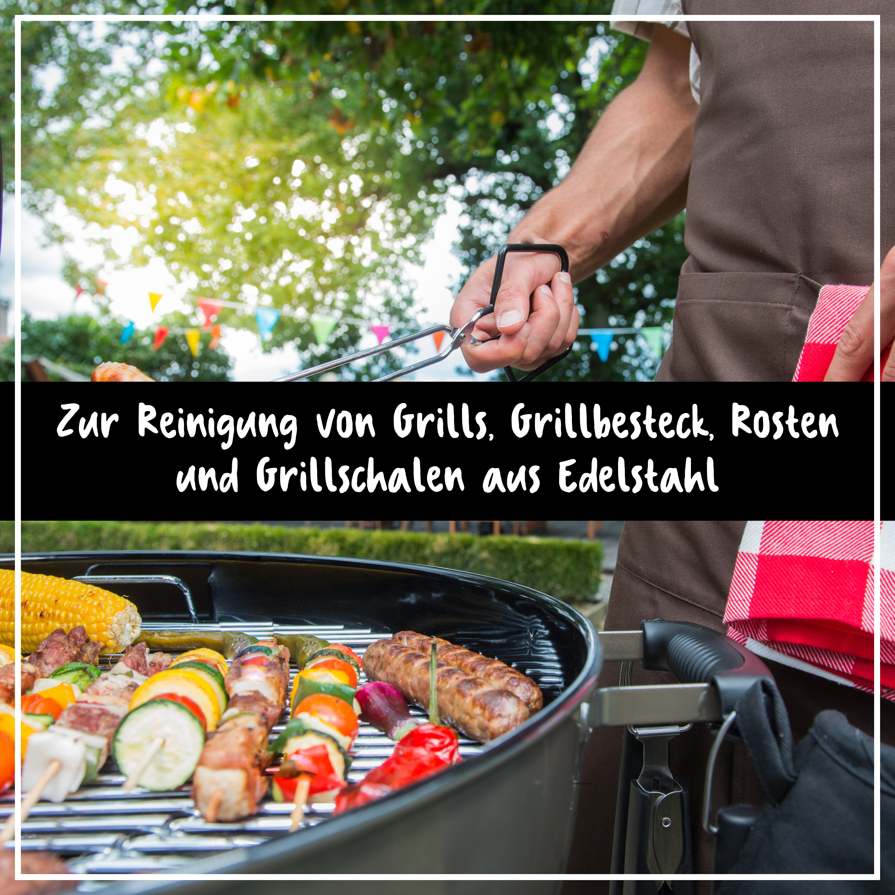 Grill- & Backofen Reiniger