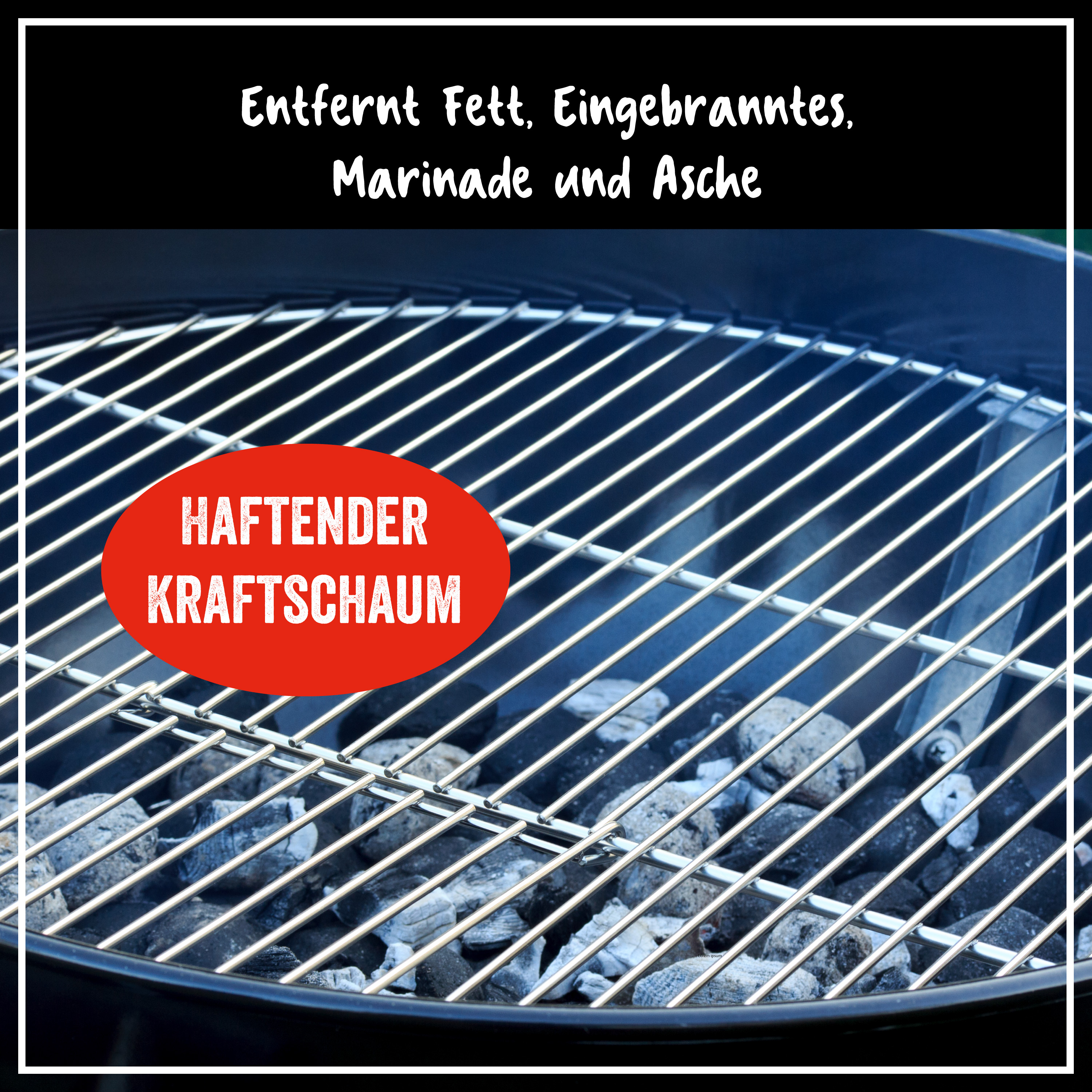 Grill- & Backofen Reiniger